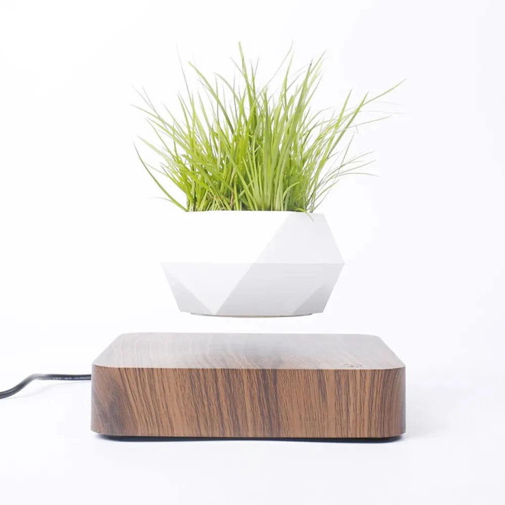 Levitating Flower Pot